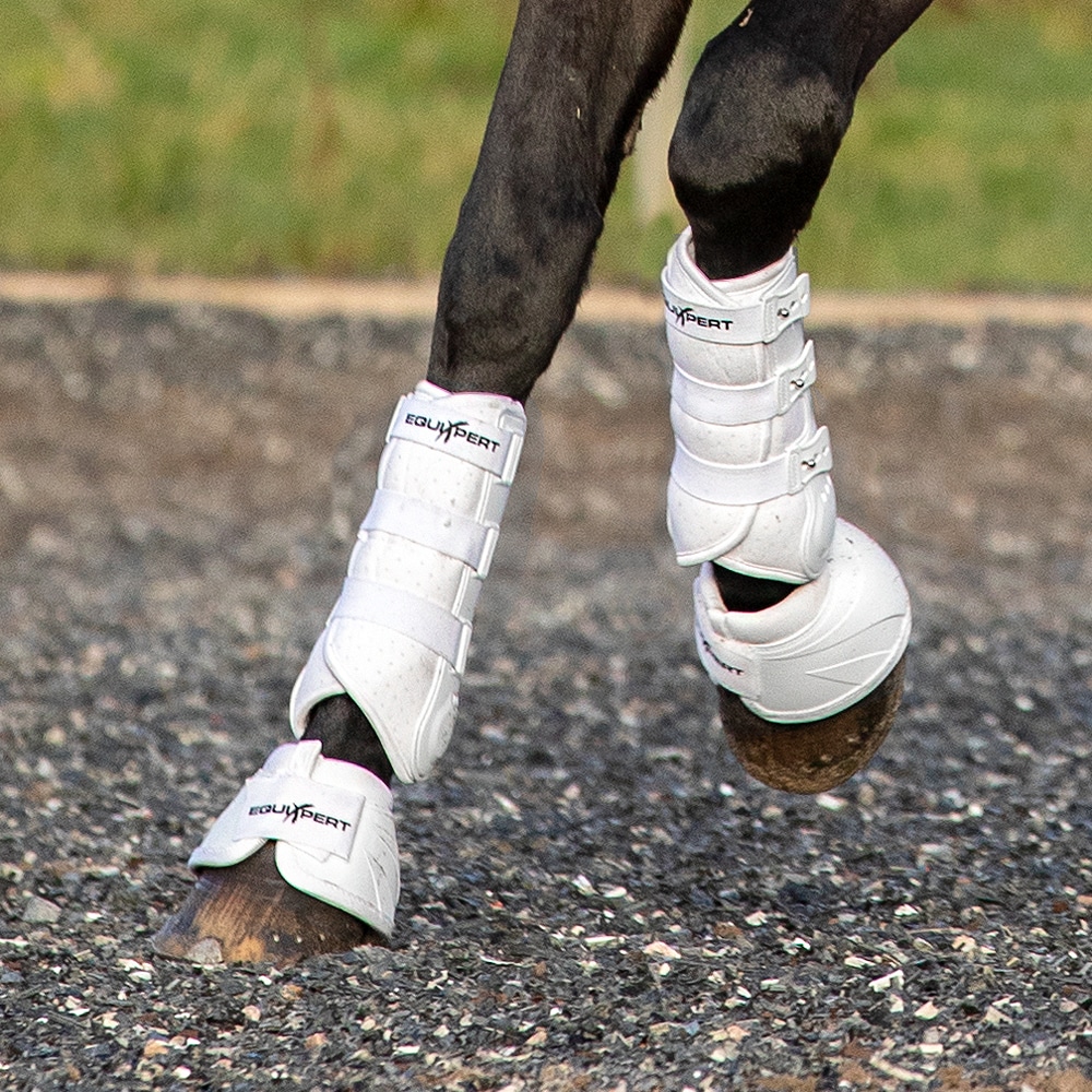 Leg boot Front Cadence EquiXpert®