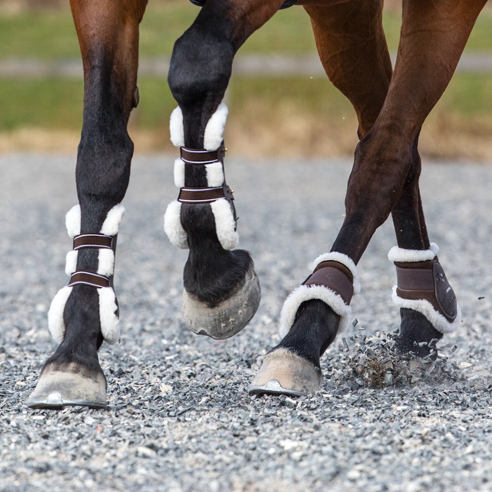 Fetlock boots  Fitzroy Trinity®