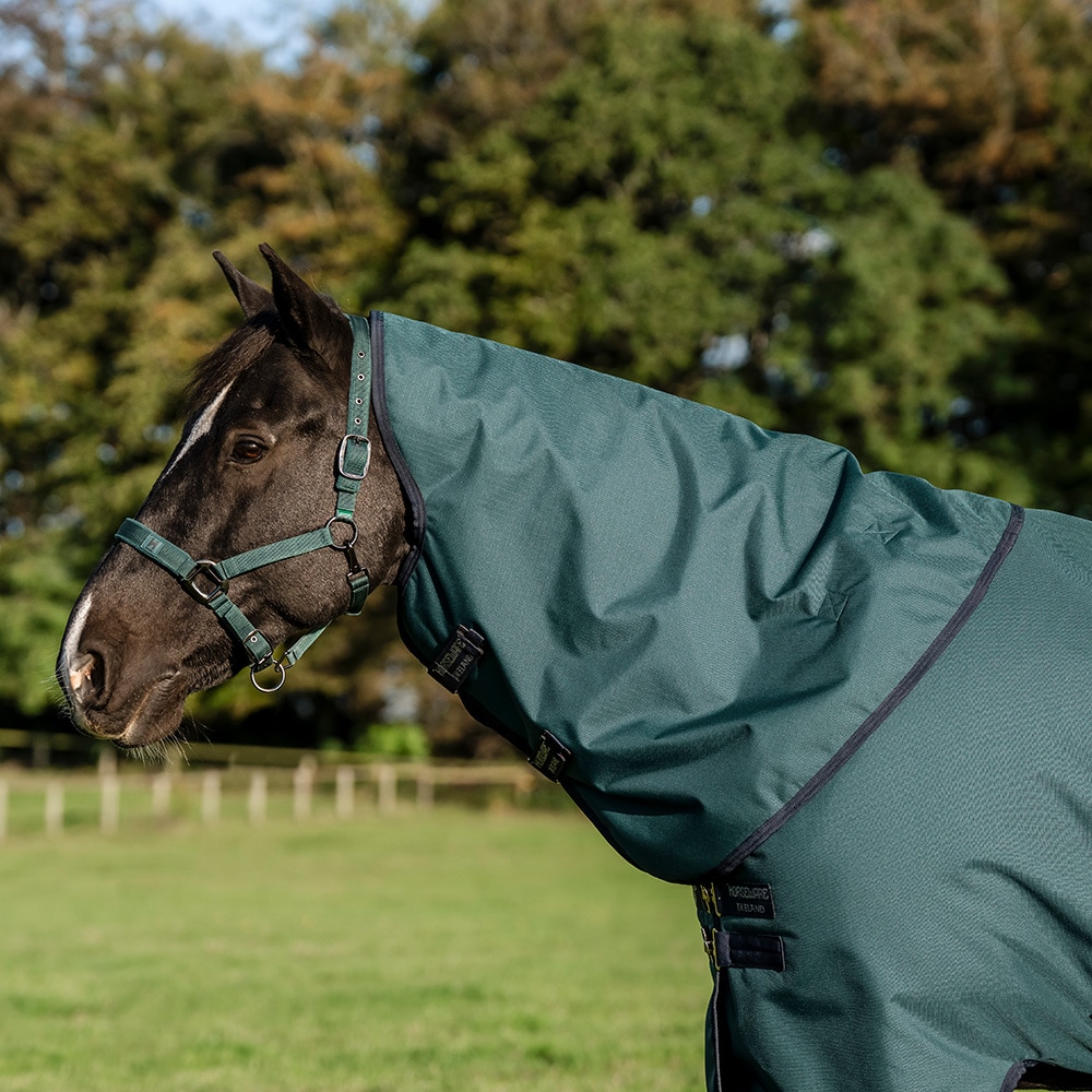 Hood  Amigo Turnout Ripstop 0G Horseware®