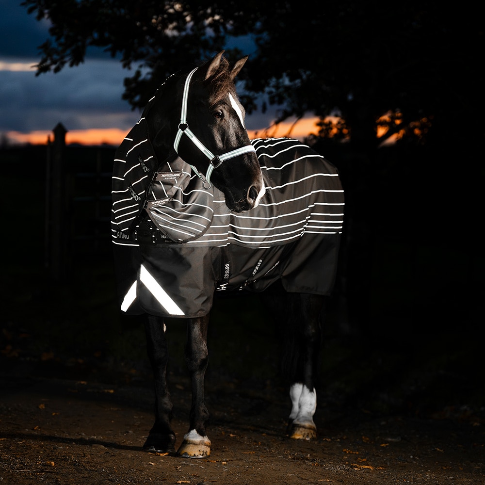 Turnout rug 100 g Amigo Bravo 12 Reflectech Plus Turnout Horseware®