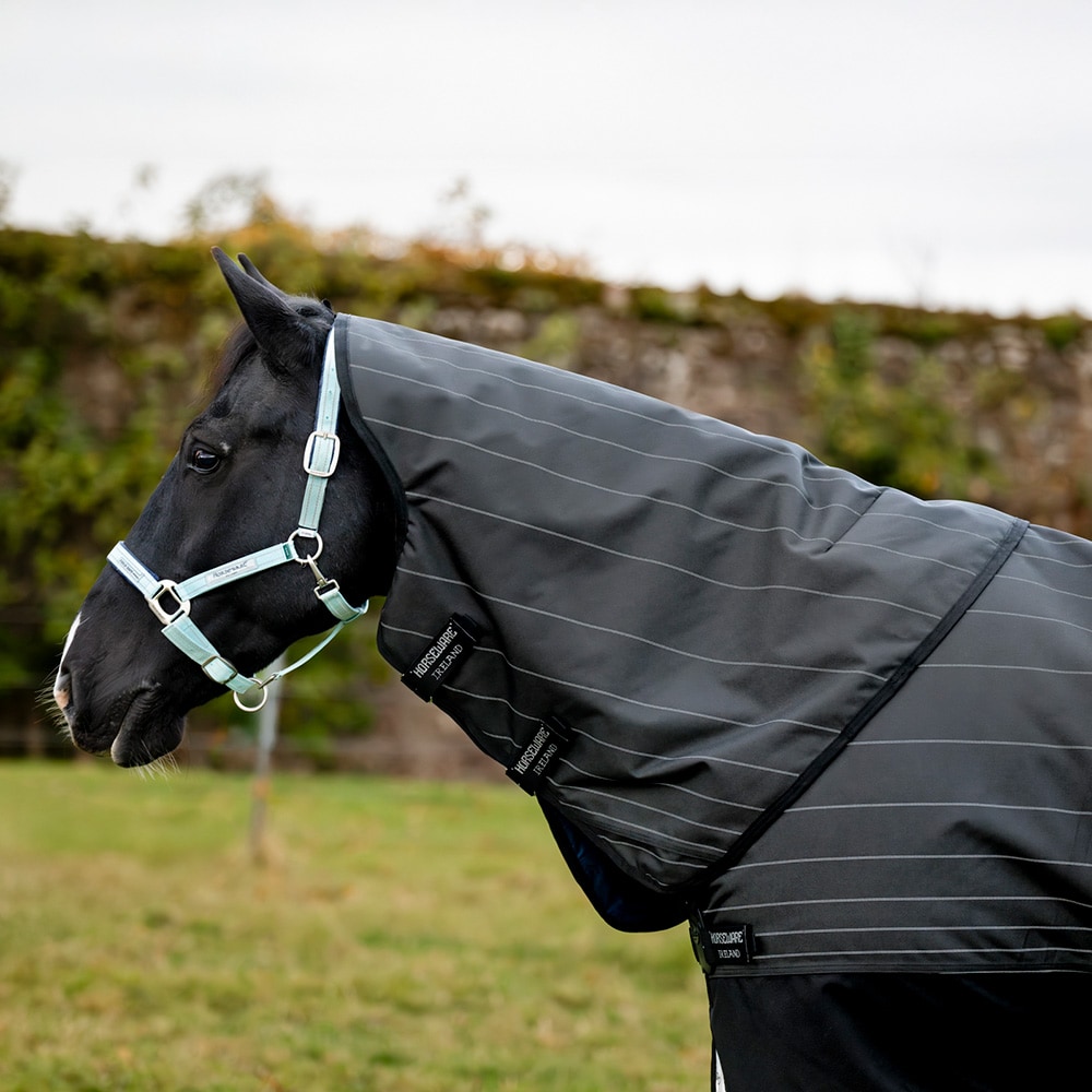 Turnout rug 100 g Amigo Bravo 12 Reflectech Plus Turnout Horseware®