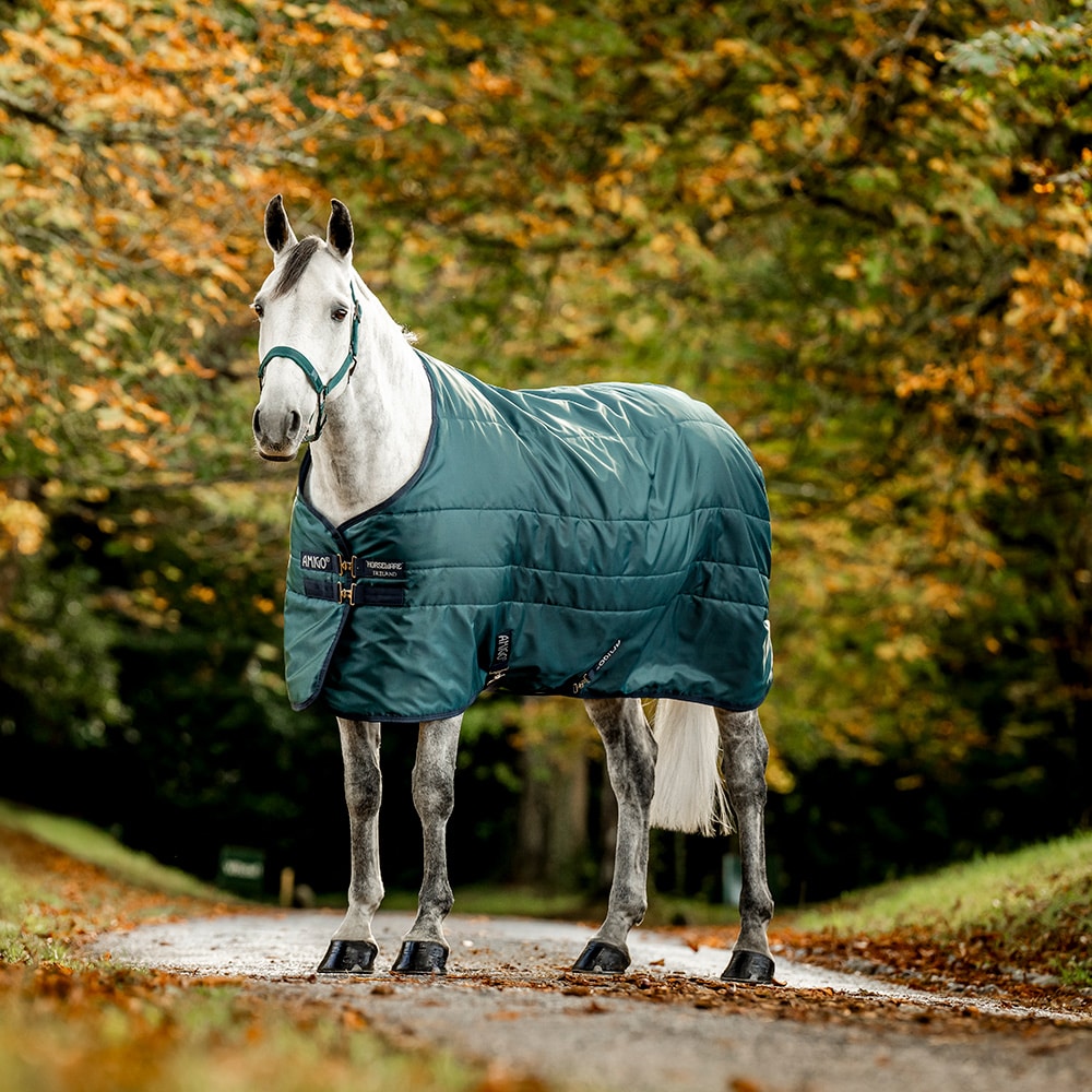 Stable rug 100 g Amigo Ripstop Insulator Horseware®