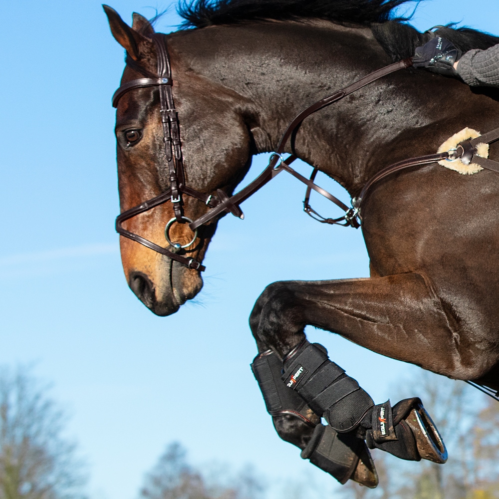 Cross country boots Front Xtreme EquiXpert®