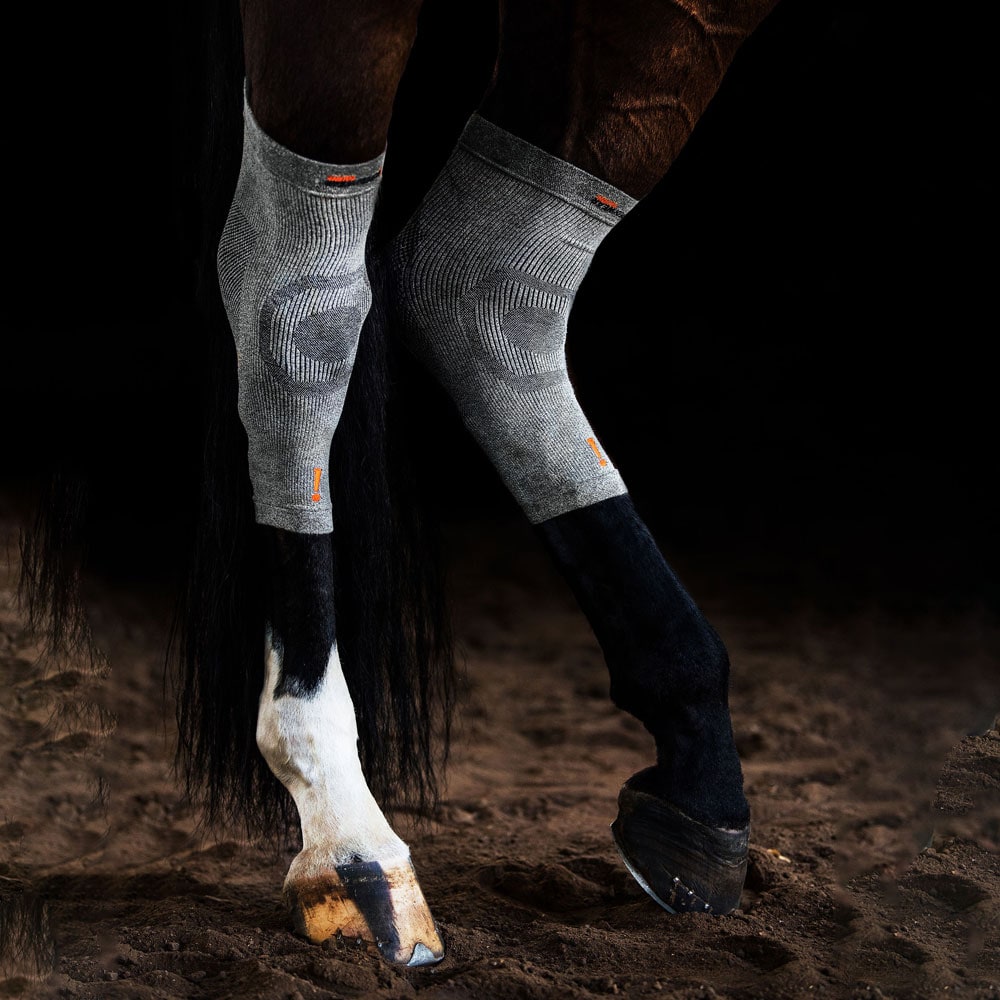 Bandage  Circulation Hoof Sock Incrediwear Equine