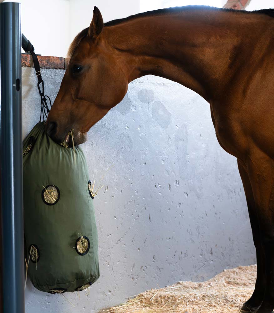 Hay bag  Slowfeed 