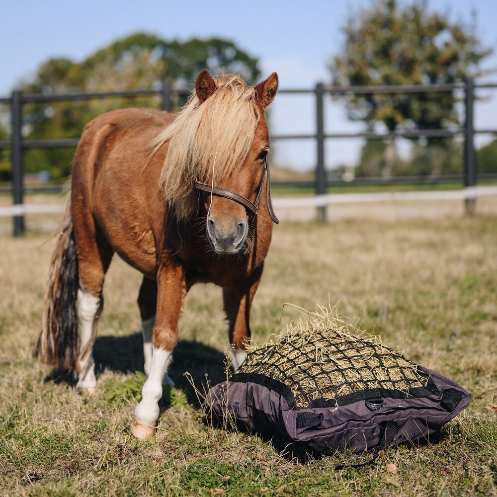 Hay pillow  Slowfeed Fairfield®
