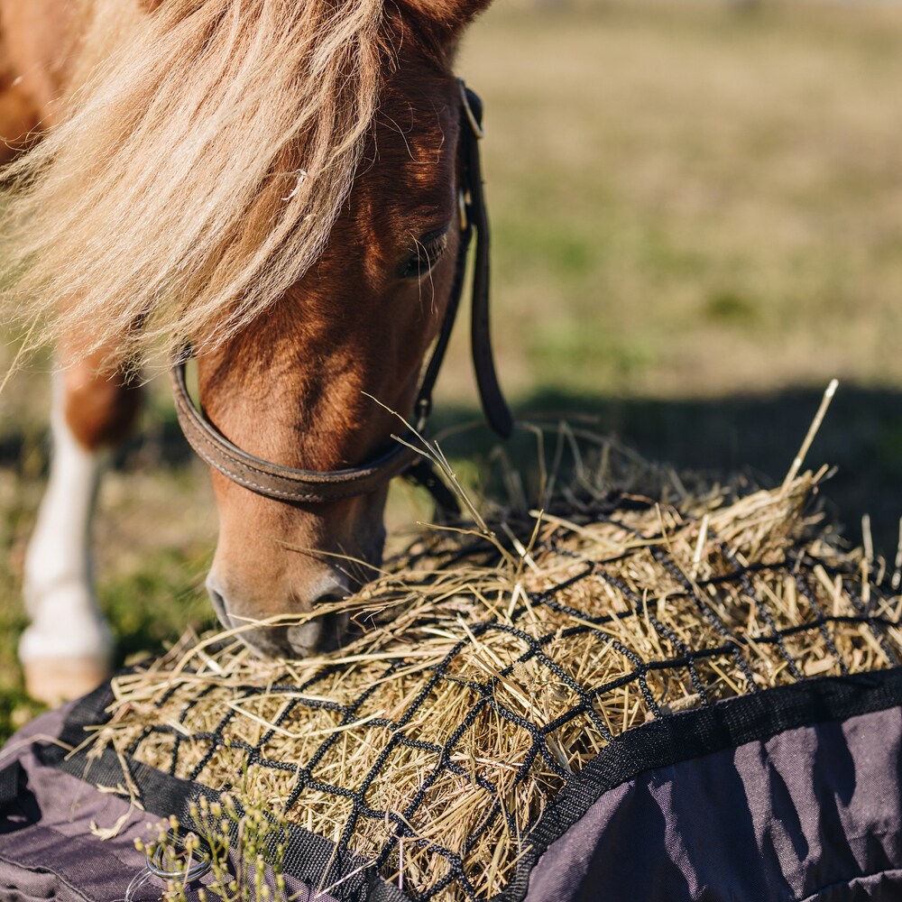 Hay pillow  Slowfeed Fairfield®