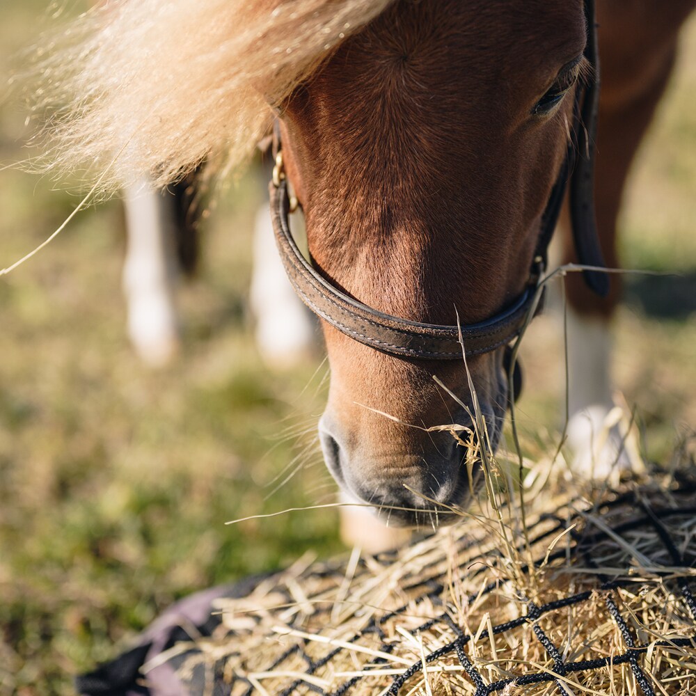 Hay pillow  Slowfeed Fairfield®