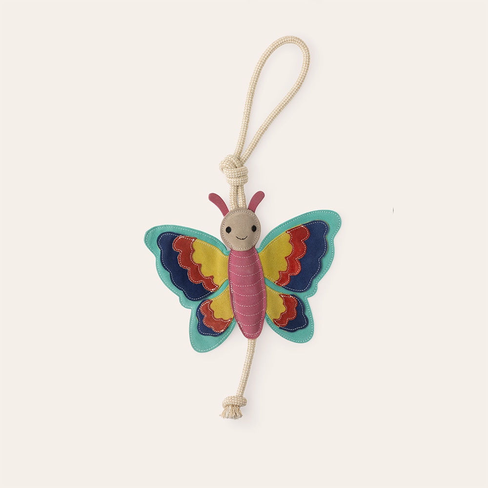 Stall toy Butterfly