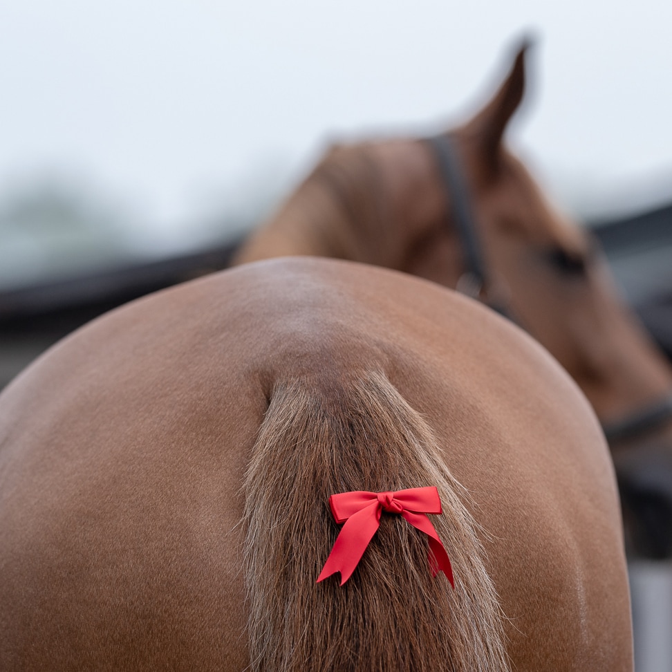 Tail bow  Juliette Fairfield®