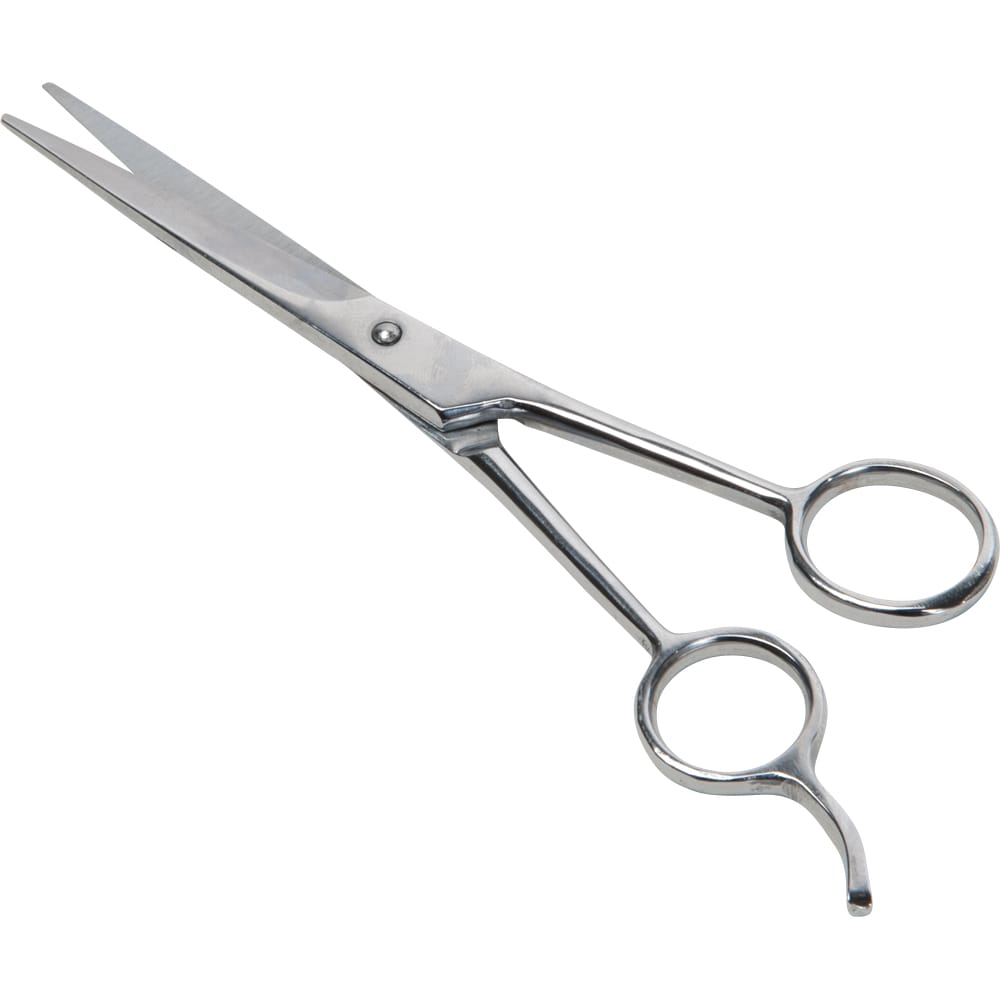 Thinning scissors   