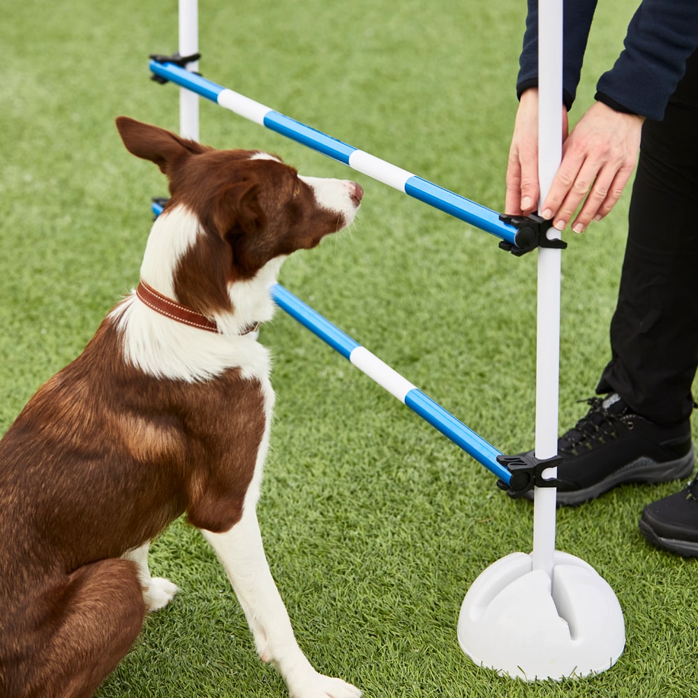 Agility pole  Bounce traxx®