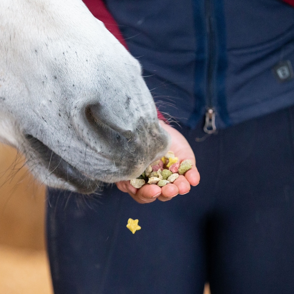 Horse treats 500 g Snaks Rainbow Likit