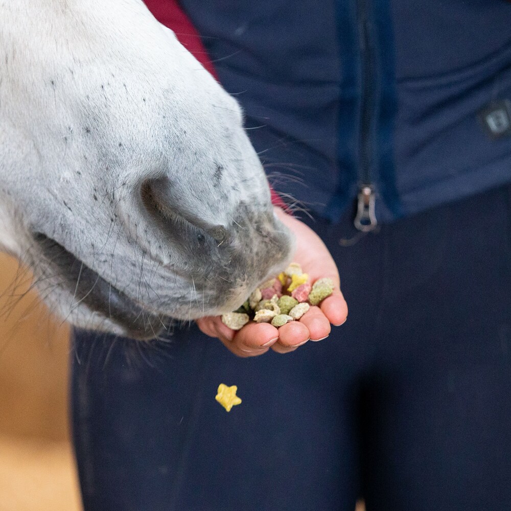 Horse treats 100 g Snaks Rainbow Likit