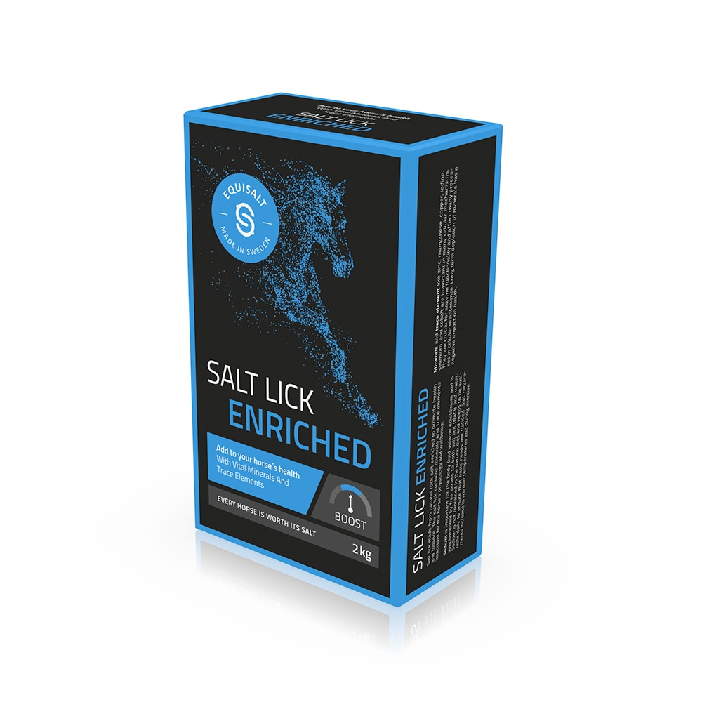 Salt stone  Equisalt Enriched Equisalt