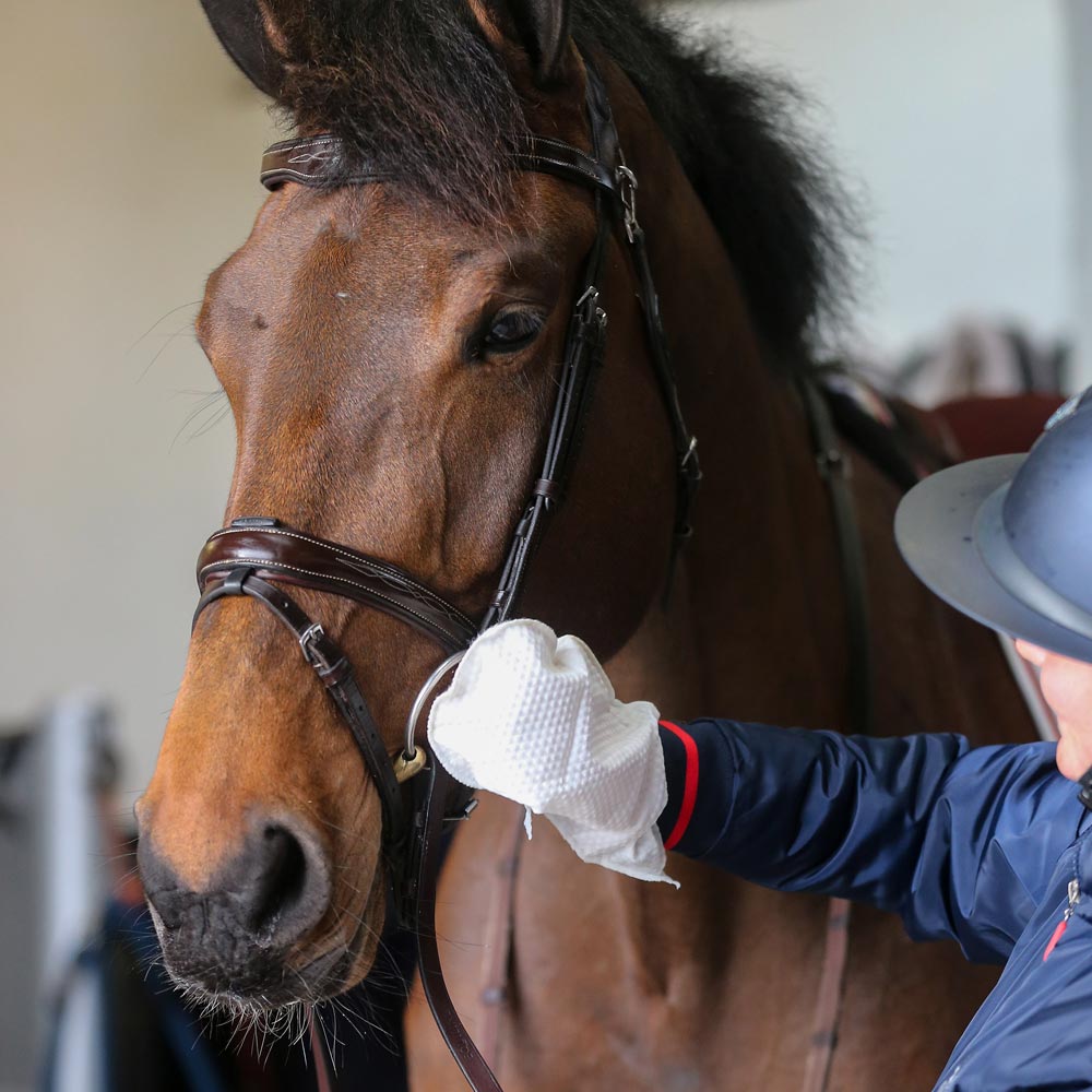 Polishing glove  Belvoir Tack Cleaning Mit Carr & Day & Martin