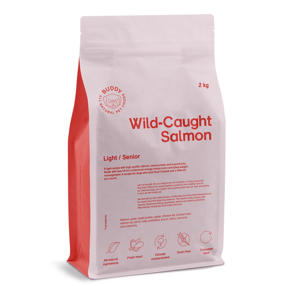 Dog food 2 kg Wild-Caught Salmon BUDDY