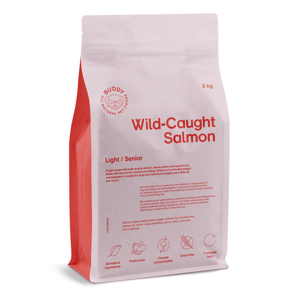 Dog food 5 kg Wild-Caught Salmon BUDDY