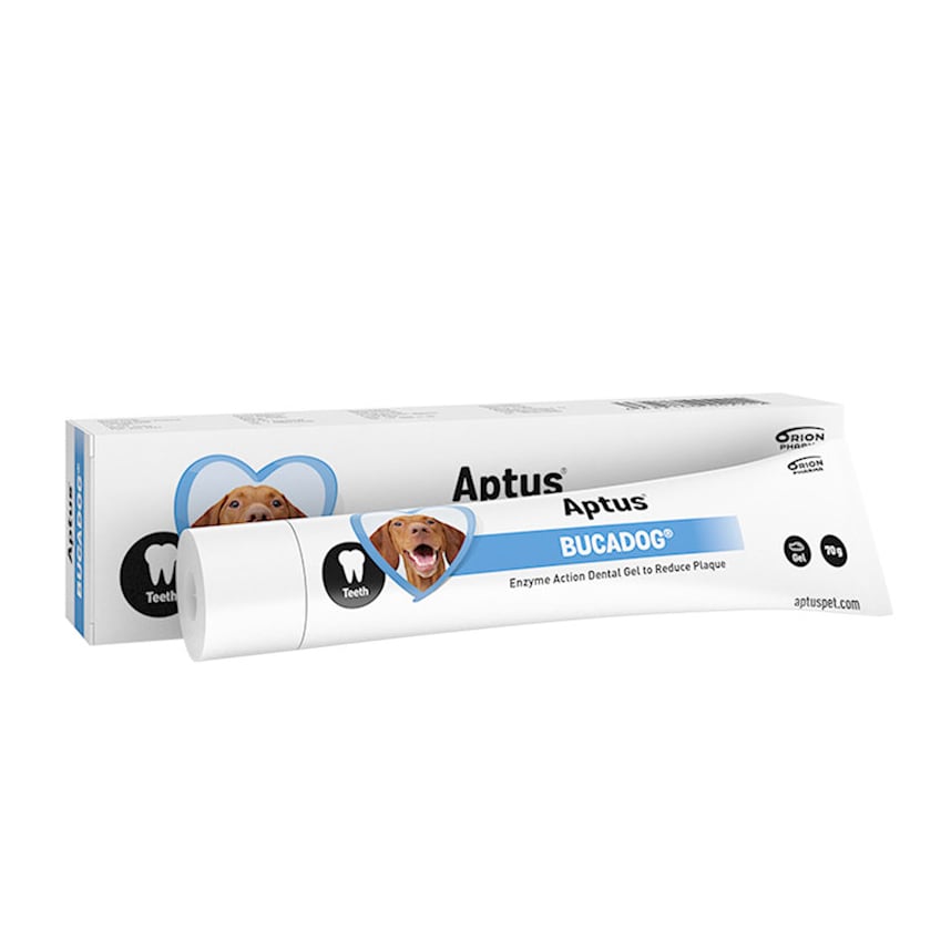 Toothgel  Bucadog Aptus