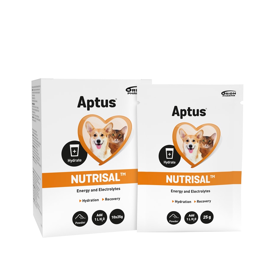 Feed supplements  Nutrisal 10 x 25 g Aptus