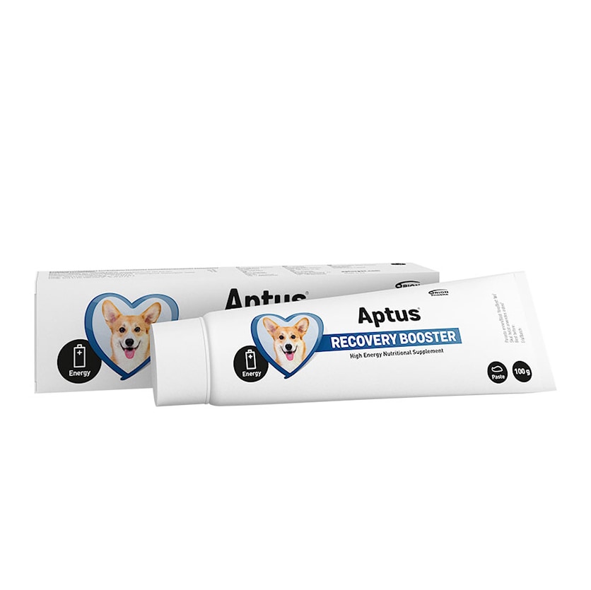 Feed supplements  Recovery Booster Aptus