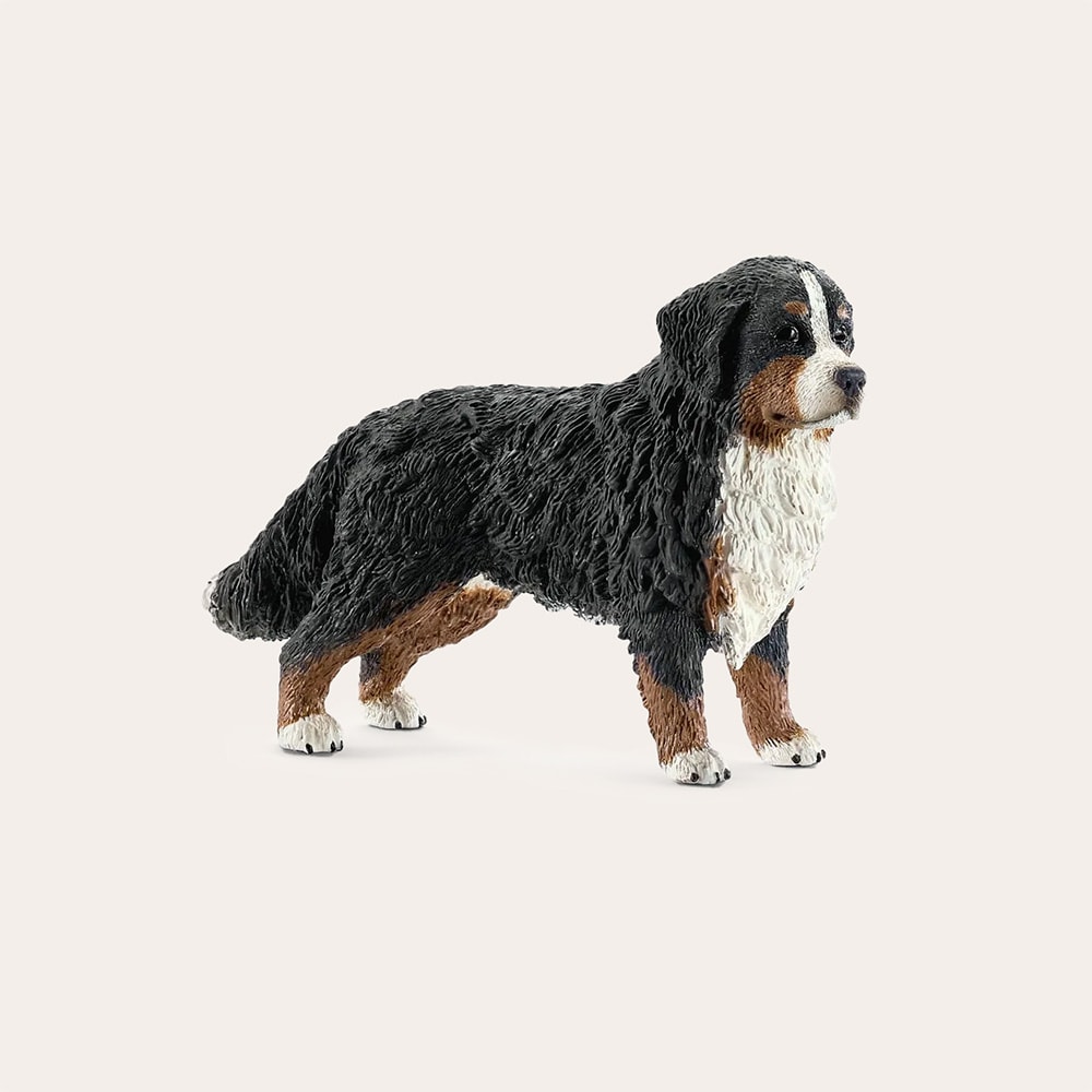 Toy  Bernese mountain Dog Female Schleich