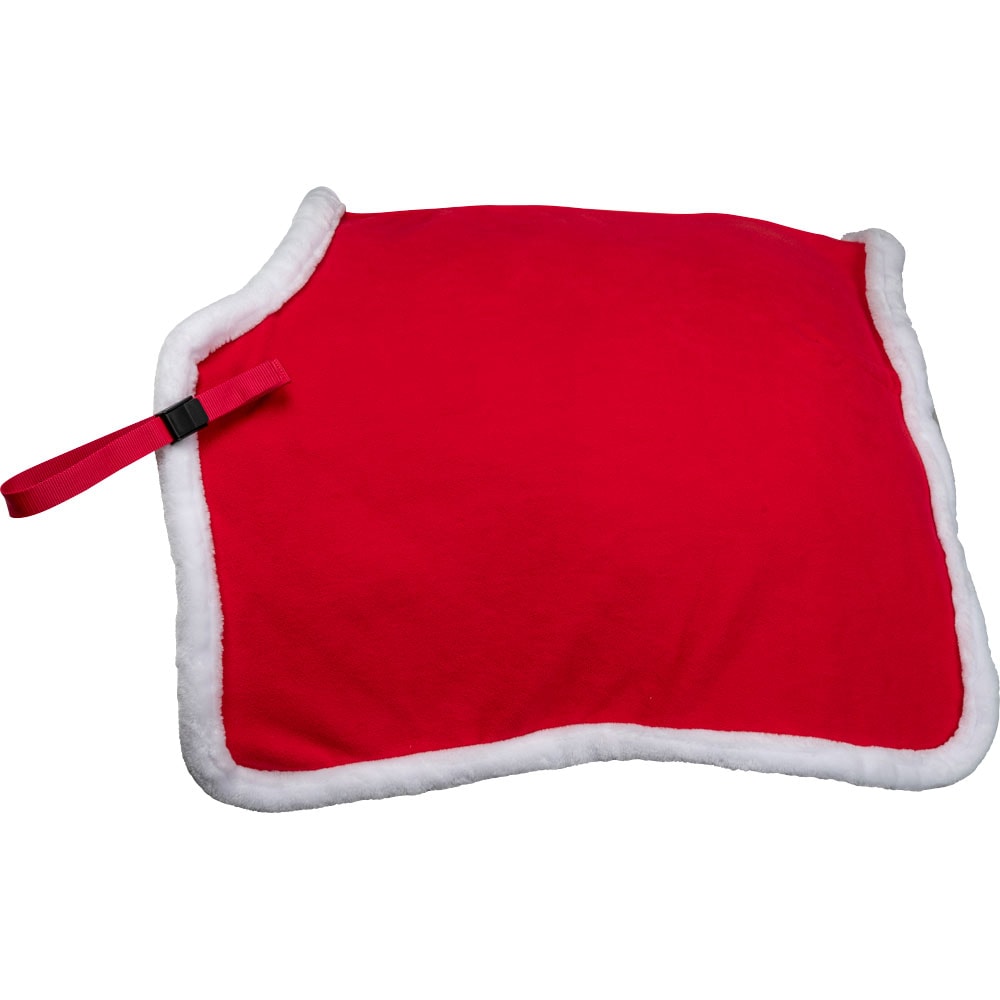 Exercise sheet  X-mas Fairfield®