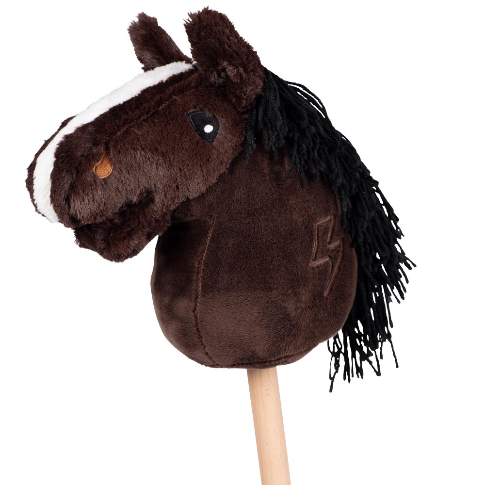Hobby horse  Teddy Hööks