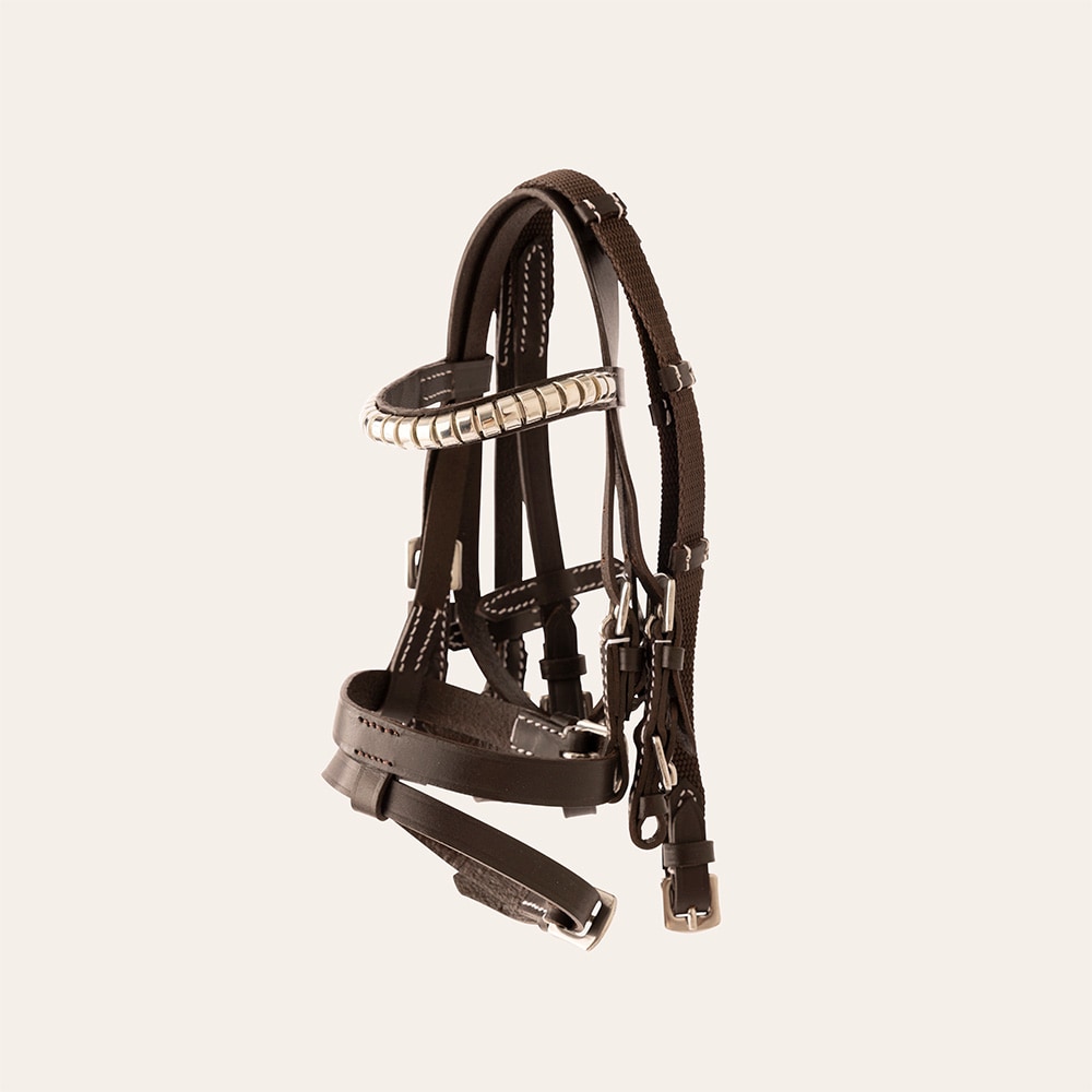 Hobby horse bridle  Desford Mini Hööks