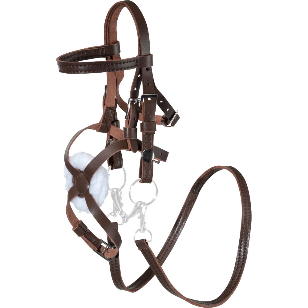 Hobby horse bridle  Mexico mini Fairfield®