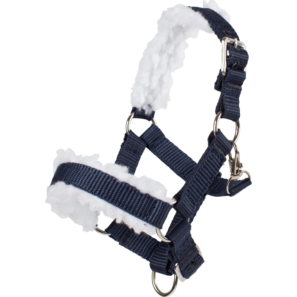 Hobby horse halter  Delight Hööks