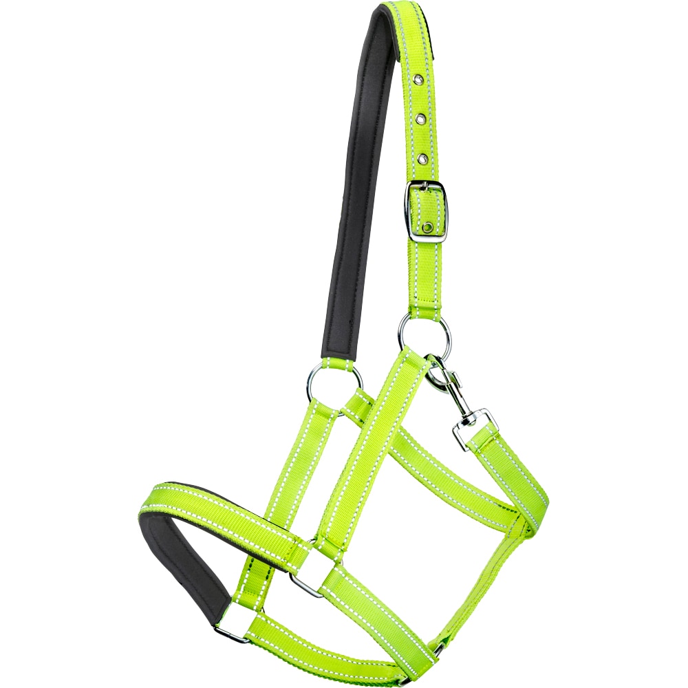 Halter  Hi-Viz Fairfield®