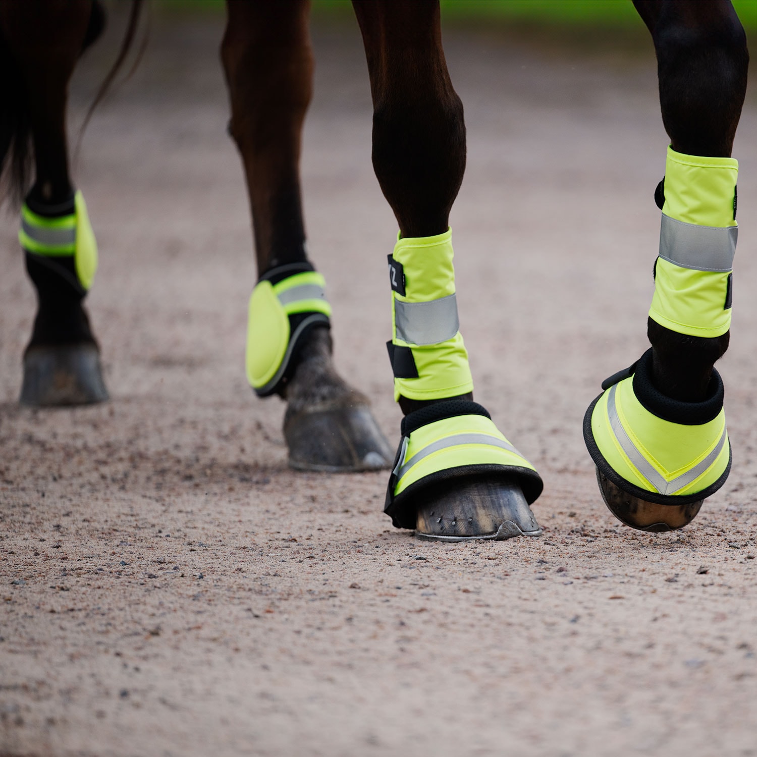 Reflective leg bands  Vizible CRW®
