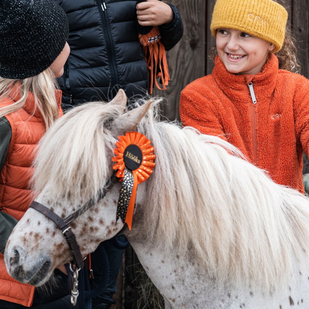 Prize rosette  Halloween 